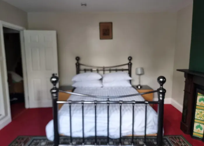 招待所 诺福克宾馆 布里斯托